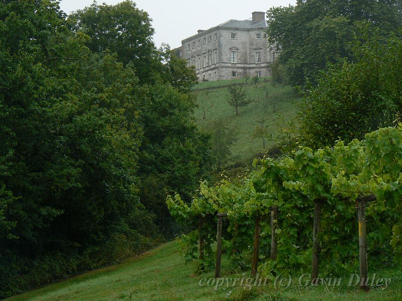 Sharpham Estate P1120537.JPG